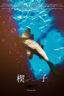 楔子