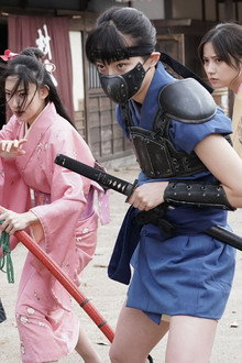 SHOGUN'S NINJA-将軍乃忍者-