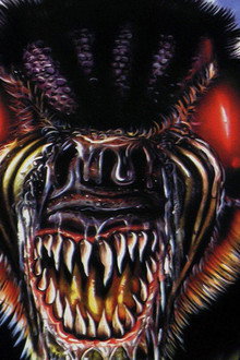 Evil Spawn