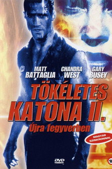 Tökéletes katona 2: Újra fegyverben