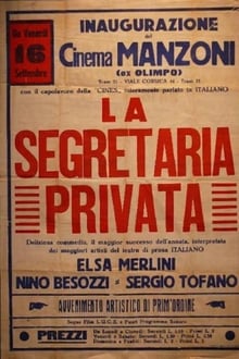 Poster do filme The Private Secretary