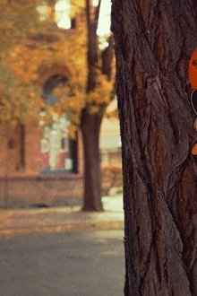 The-Witching-Season
