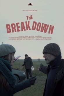 Poster do filme The Breakdown