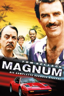 Staffel 6
