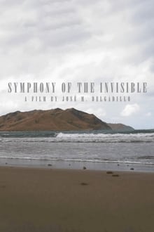 Symphony Of The Invisible movie poster