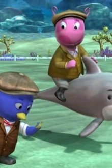 The Great Dolphin Race