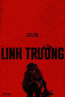 Linh Trưởng – Primate (2026)
