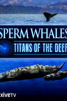 Titans of the Deep