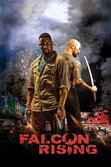 Falcon Rising