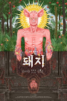 구제역에서 살아 돌아온 돼지