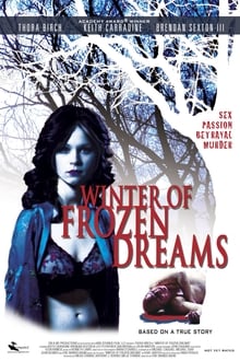 Poster do filme Winter of Frozen Dreams