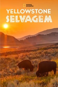 Poster da série Yellowstone Selvagem