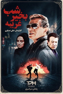 شب بخیر غریبه