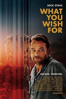 Poster do filme What You Wish For