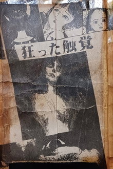 Distorted Sense of Touch