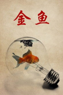 金鱼