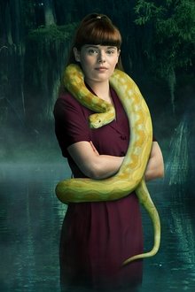 V.C.-Andrews'-Hidden-Jewel