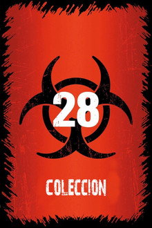 28 - Colección