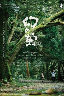 幻の蛍