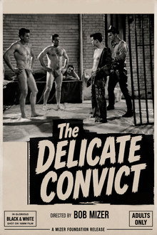 Delicate Convict