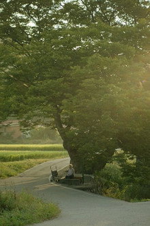 여름밤의 소리