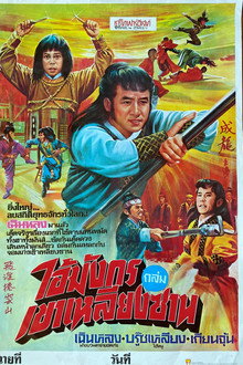 ศึกมันส์ทะลุฟ้า (ไอ้มังกรถล่มเขาเหลียงซาน)