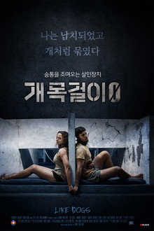 개목걸이 0