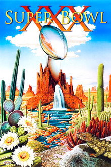 Super Bowl XXX