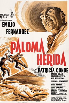 Paloma herida