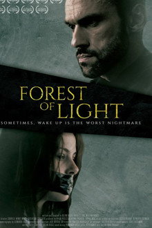 Floresta da luz