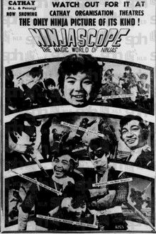 Ninjascope: The Magic World of Ninjas