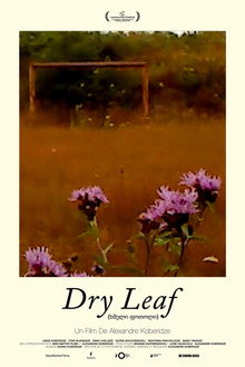 Dry Leaf