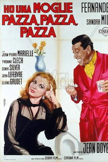 Ho una moglie pazza, pazza, pazza