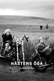 Hästens öga
