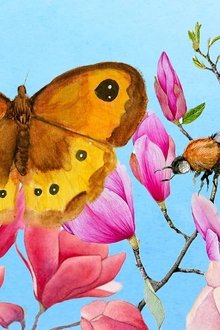 Children-of-the-Sun---Wild-Bees-&-Butterflies