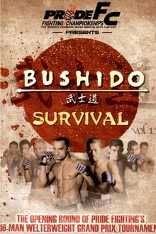 Poster do filme Pride Bushido 11