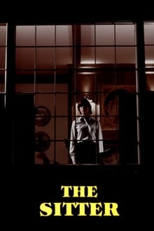 Poster do filme The Sitter