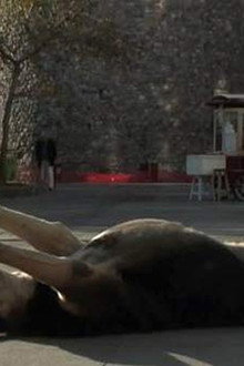 Taşkafa, Stories of the Street