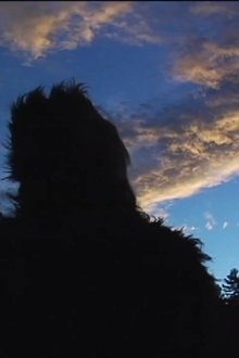 The-Bigfoot-Diaries