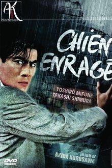 Chien enragé