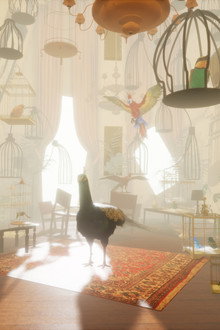 The
Bird
Lady