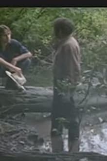 What Sebastian Dreamt