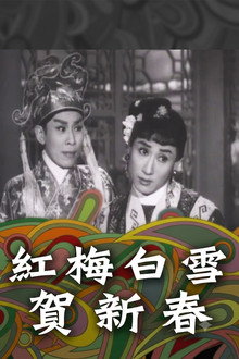 紅梅白雪賀新春
