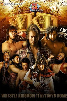 NJPW Wrestle Kingdom 11