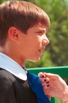 La-volpe-a-tre-zampe