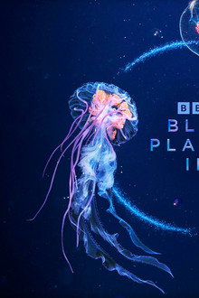 Blue Planet III