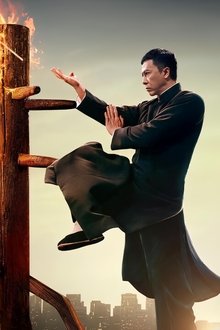 Ip-Man-4-The-Finale