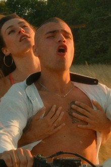 Vache Folle