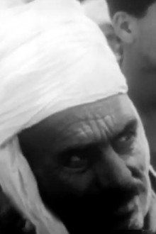 Algérie 1962: Chronique d'un conflit