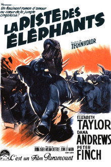 La Piste des éléphants